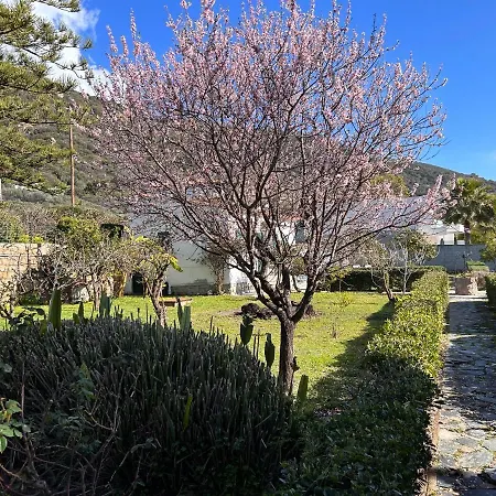 Petite Le Clan Hébergement de vacances Ajaccio (Corsica)