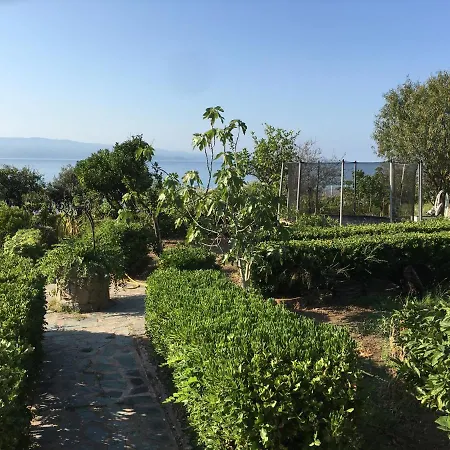 Petite Le Clan Ajaccio