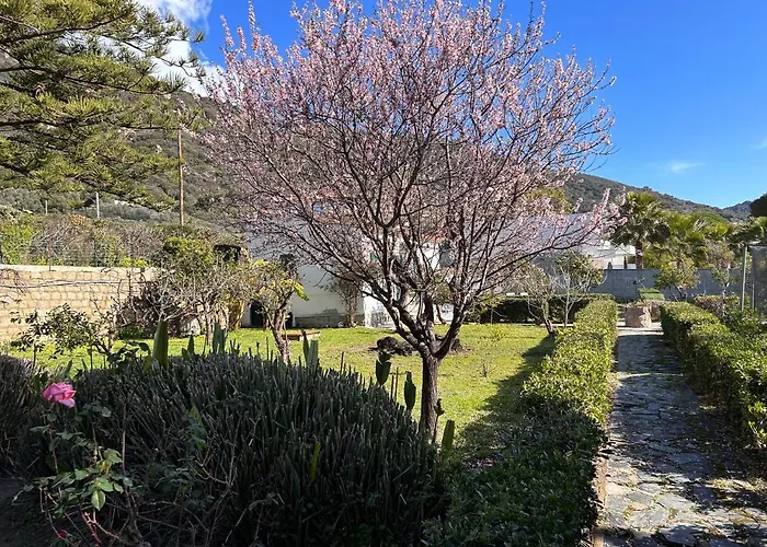 Petite Le Clan Nyaraló Ajaccio