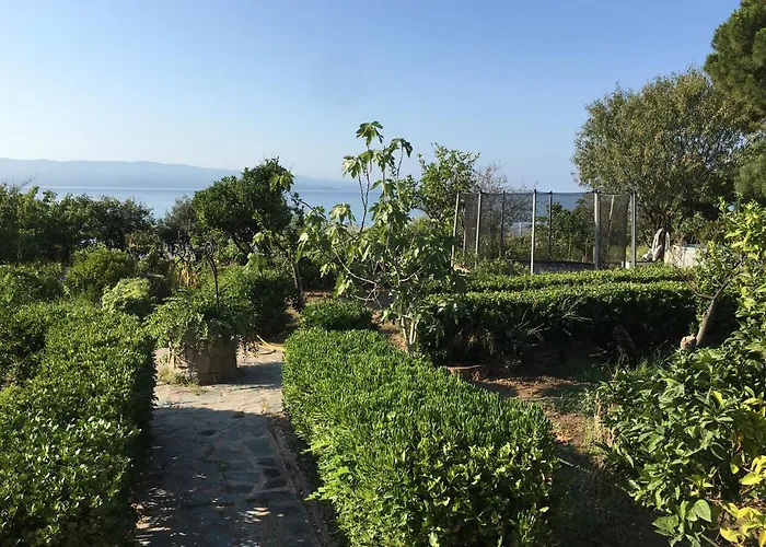 Petite Le Clan Ajaccio